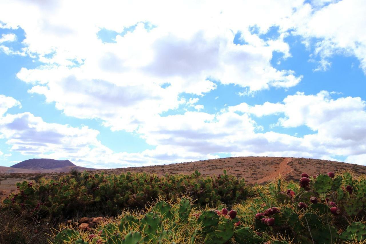 Montana Valles De Ortega - A エクステリア 写真